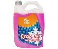 Cyclon Cyclonflu G13 4L